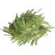 FICSMAS Tree Branch