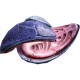 Hatcher Remains