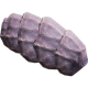 Hog Remains