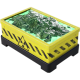Non-Fissile Uranium