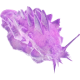 Purple Power Slug