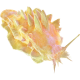 Yellow Power Slug